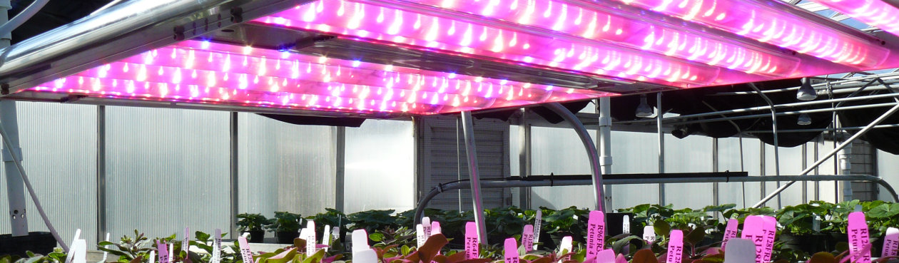 New developer kit to streamline the design of Horticulture lighting solutions