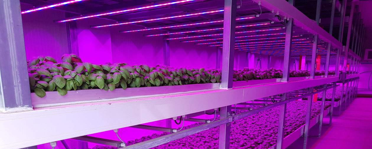 Vertical Farming with Horticultural LED lighting