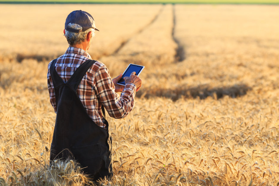 SFH 4736 helps farmers monitor the growth of their crops and plan the ideal time for harvest. 