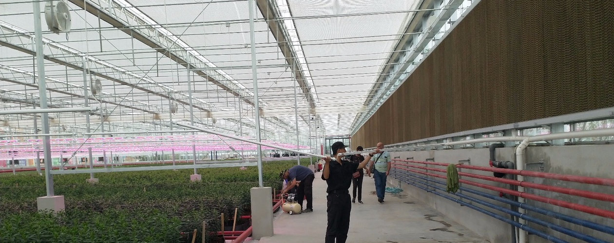 With the completion of the greenhouses in the Chinese province of Hebei, fruit, vegetables and various flowers have been planted in a total area of 24,000 square meters.